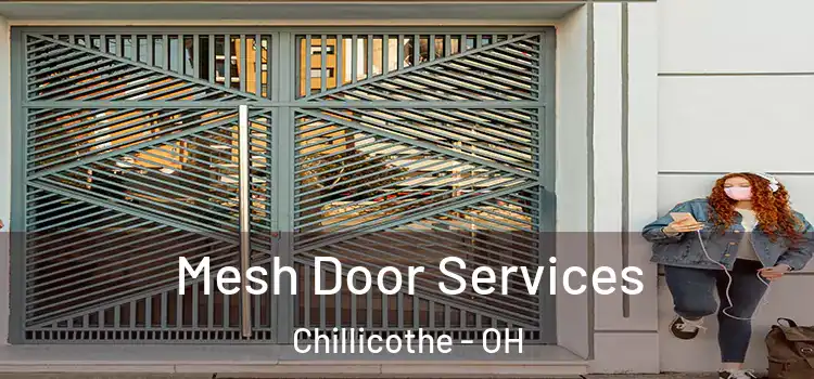 Mesh Door Services Chillicothe - OH
