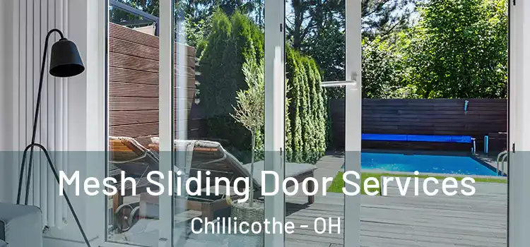 Mesh Sliding Door Services Chillicothe - OH